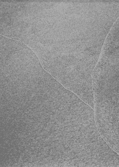 The importance of staying quiet: 2. Lala Rukh II