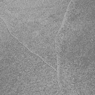 The importance of staying quiet: 2. Lala Rukh II